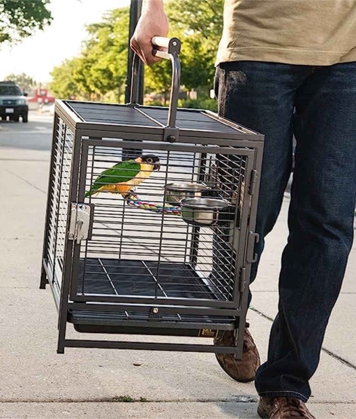 Prevue Pet Products Travel Carrier for Birds, Black
