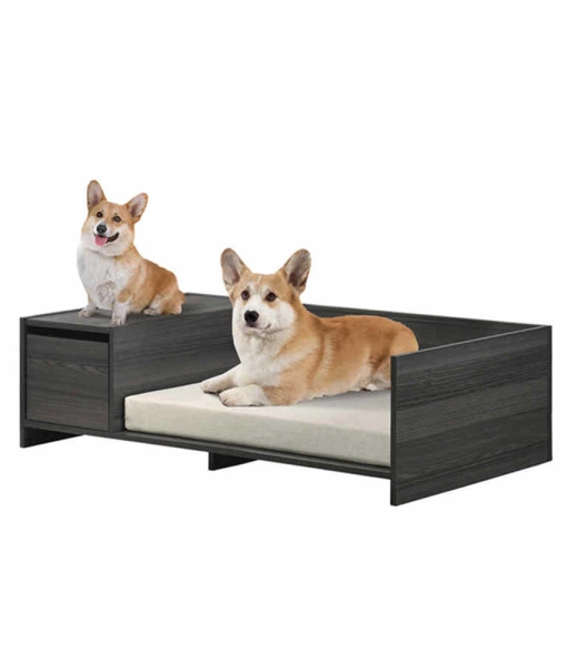 Best dog beds for puppies Modern Comfy with Cushion