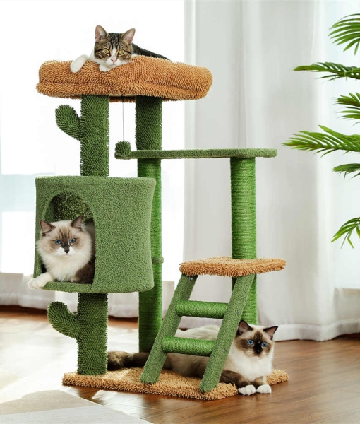 Cactus Cat Tree Ladder Multi Levels Condo Scratching Post