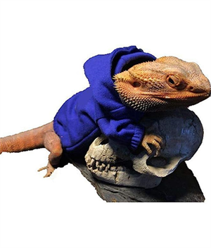 Lizard Clothes for Bearded Dragons Reptile Apparel Handmade Cotton Material Hoodies Sweater