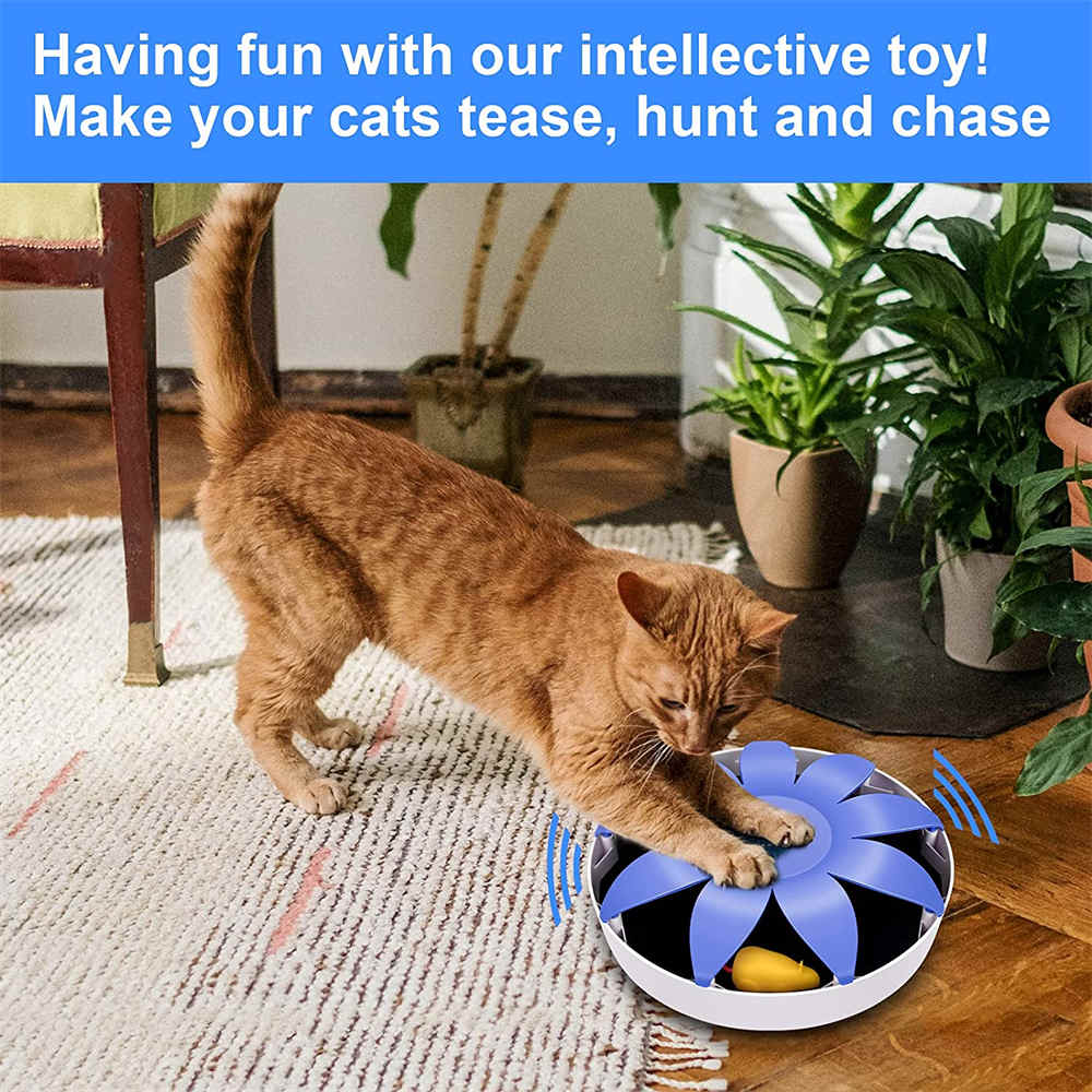 Automatic cat toy