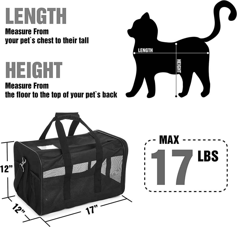 large cat carrier