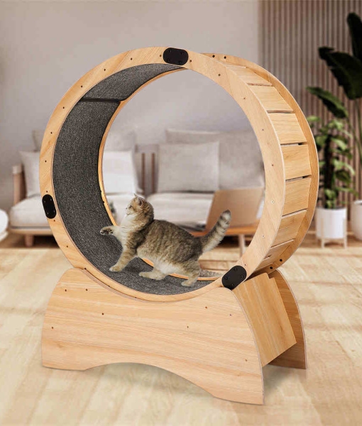 running wheel for cats with Lock & Teaser Cat Treadmill