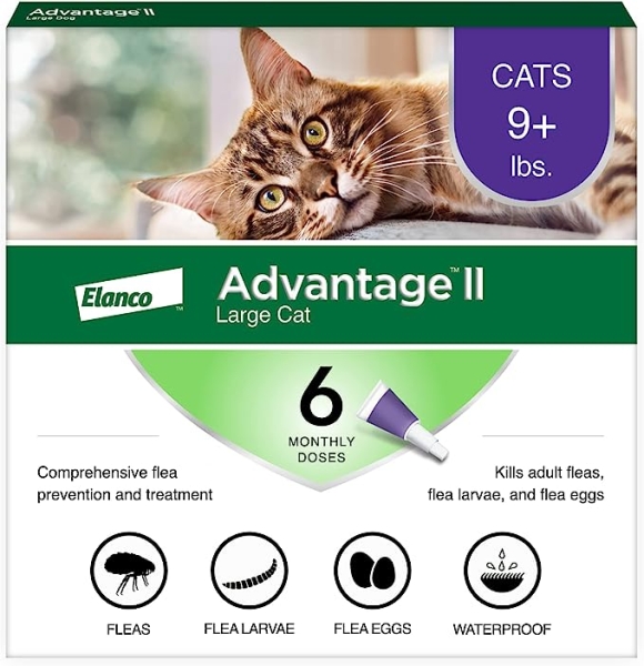 Advantage II Large Cat Vet-Recommended Flea Treatment & Prevention | Cats Over 9 lbs. | 6-Month Supply