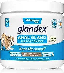 Vetnique Labs Glandex Anal Gland Soft Chew Treats with Pumpkin for Dogs Digestive Enzymes