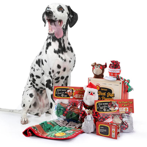 Christmas dog toys Gift Boxes