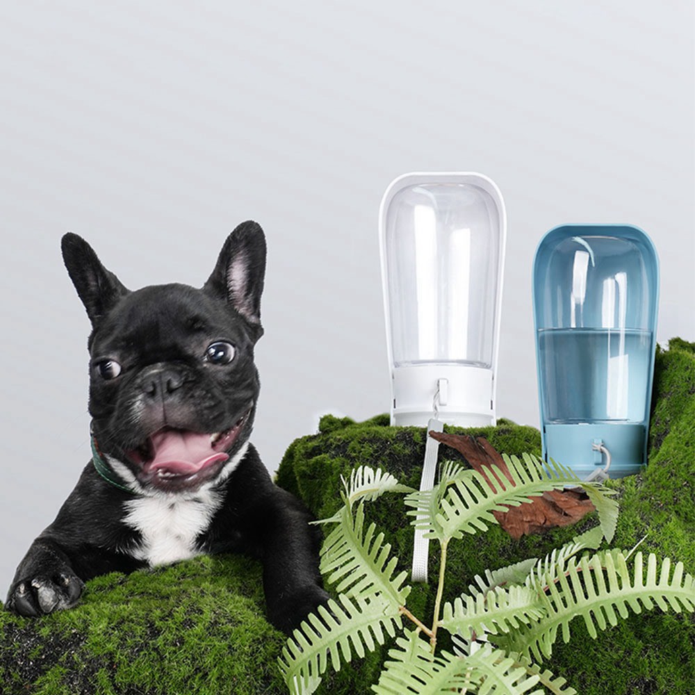 Foldable Carry-on Pet Cup