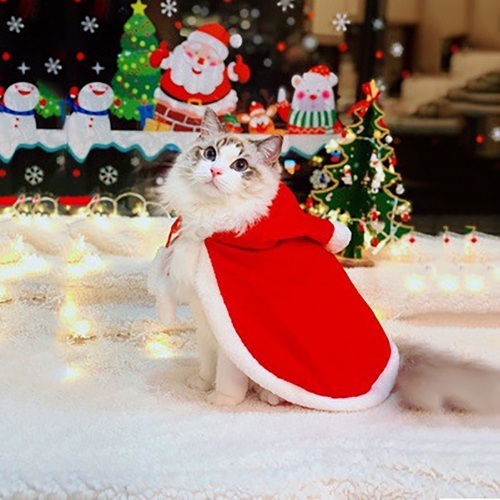 Cat christmas costume
