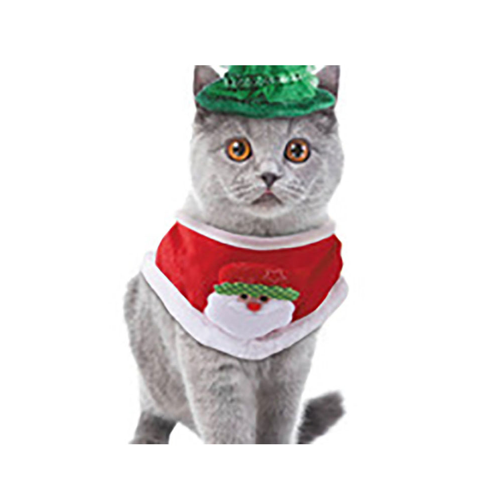 Cat towel (1) Cat towel