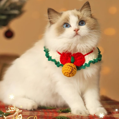 cat christmas scarf