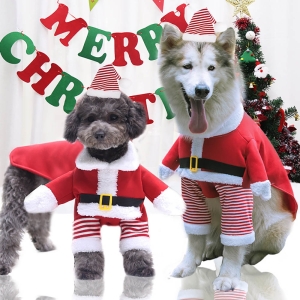 dog christmas clothing