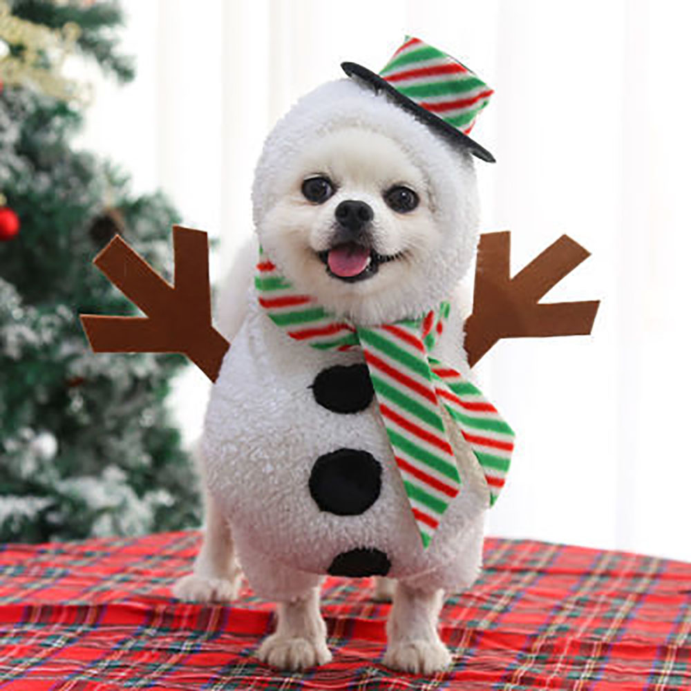dog clothing christmas