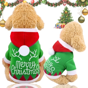 dog sweatshirt