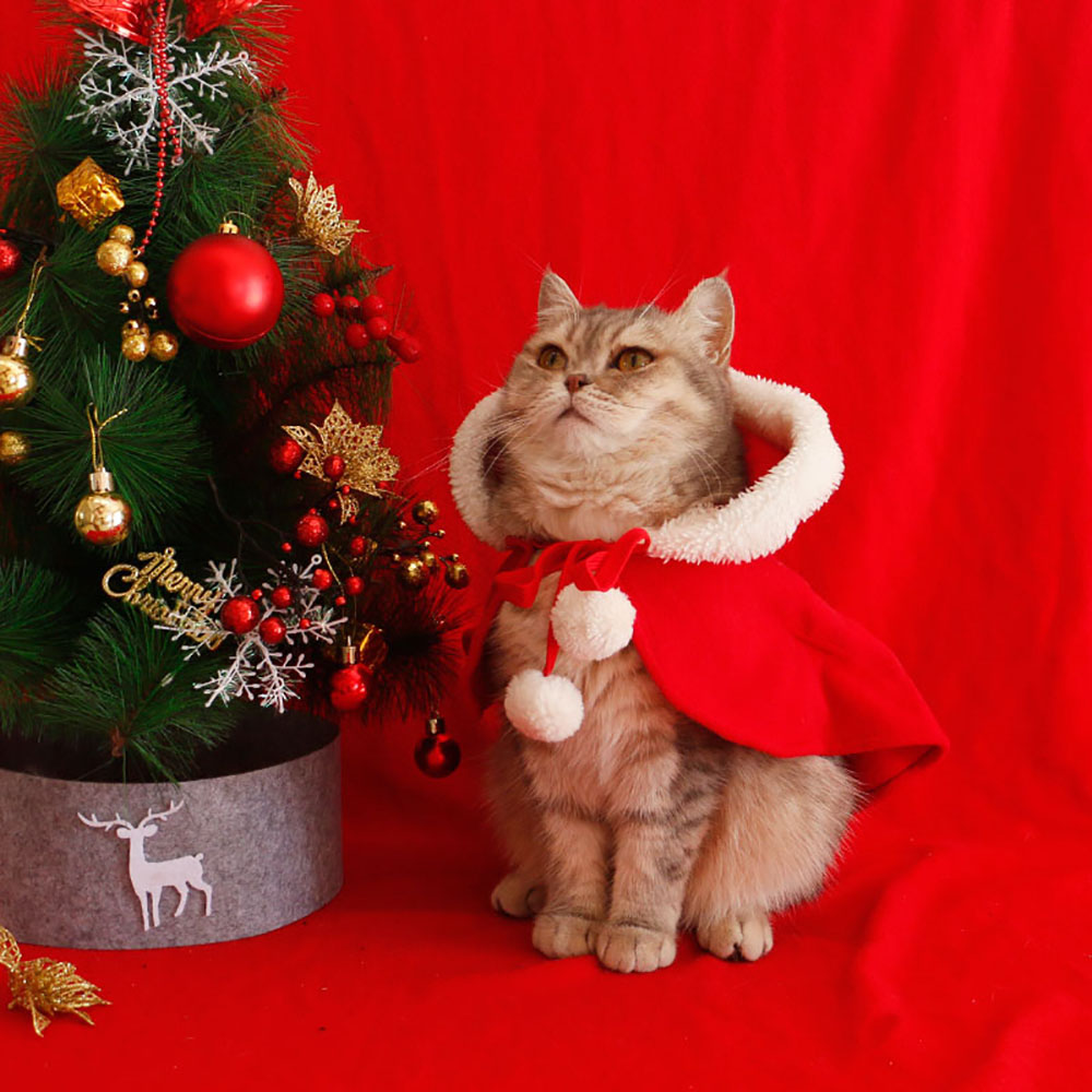 Puppy christmas outfits with thick and plush - Cat Apparel - 1