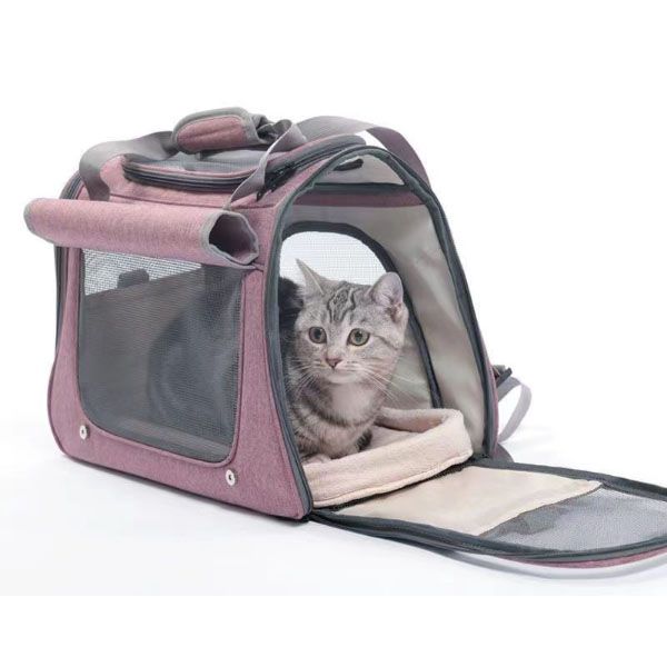 How to get cat in carrier