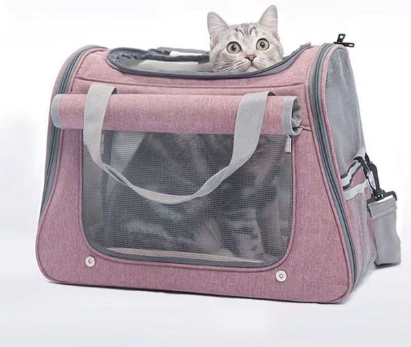 How to get cat in carrier - Blog - 2