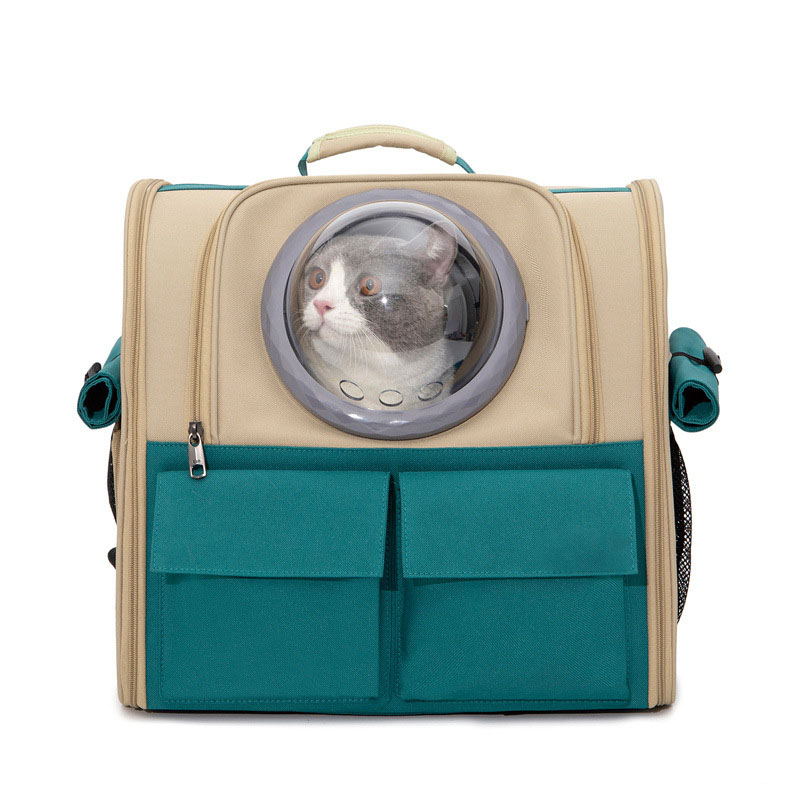 Small Dog Carrier (2)