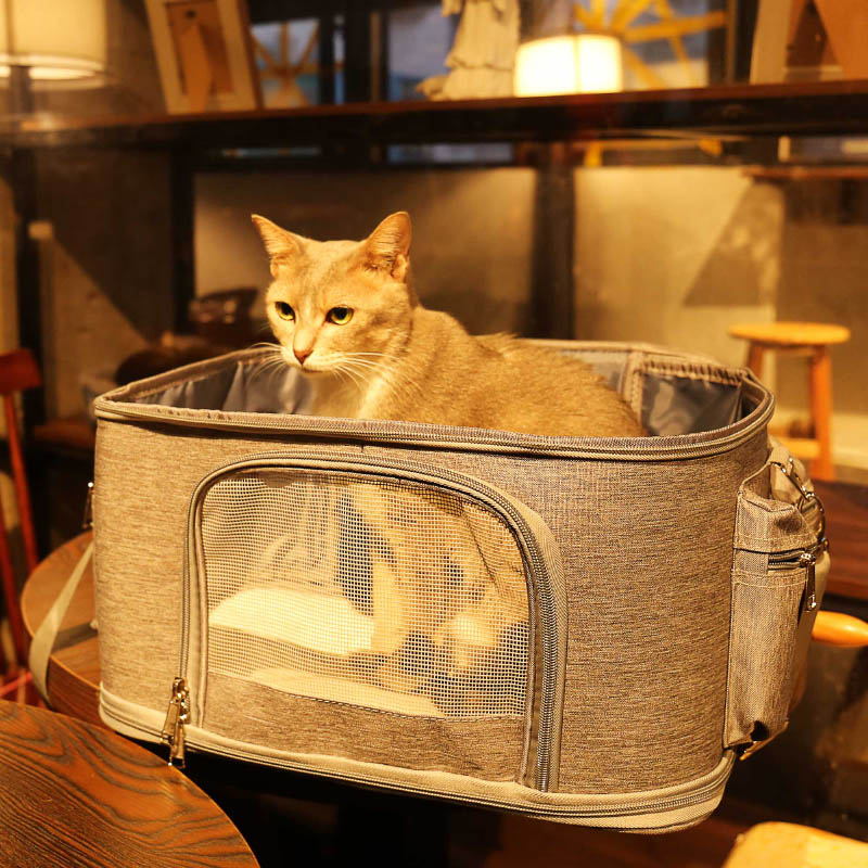 Backpack cat carrier