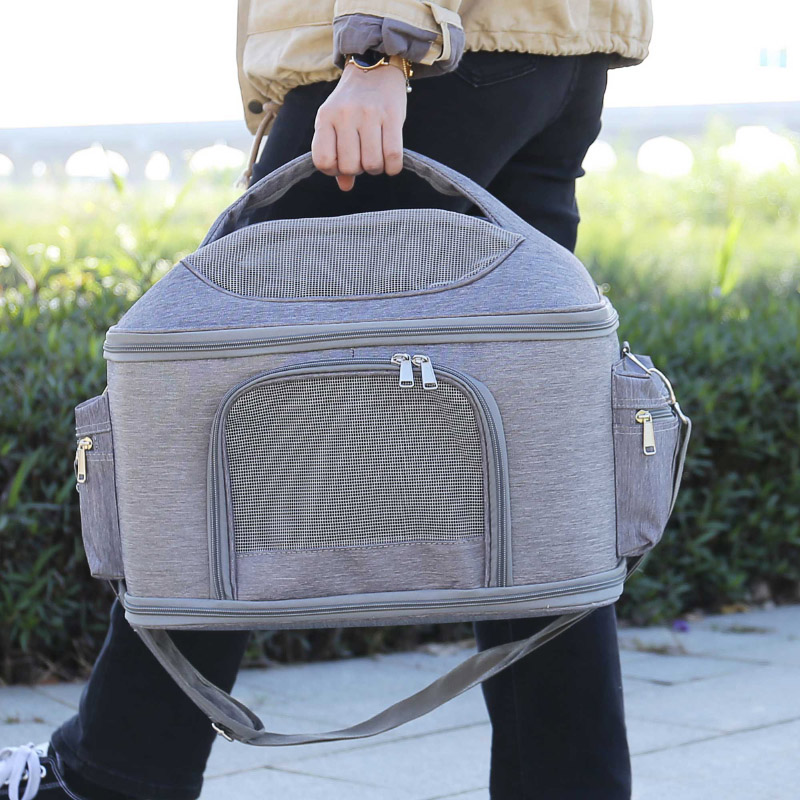 Backpack cat carrier