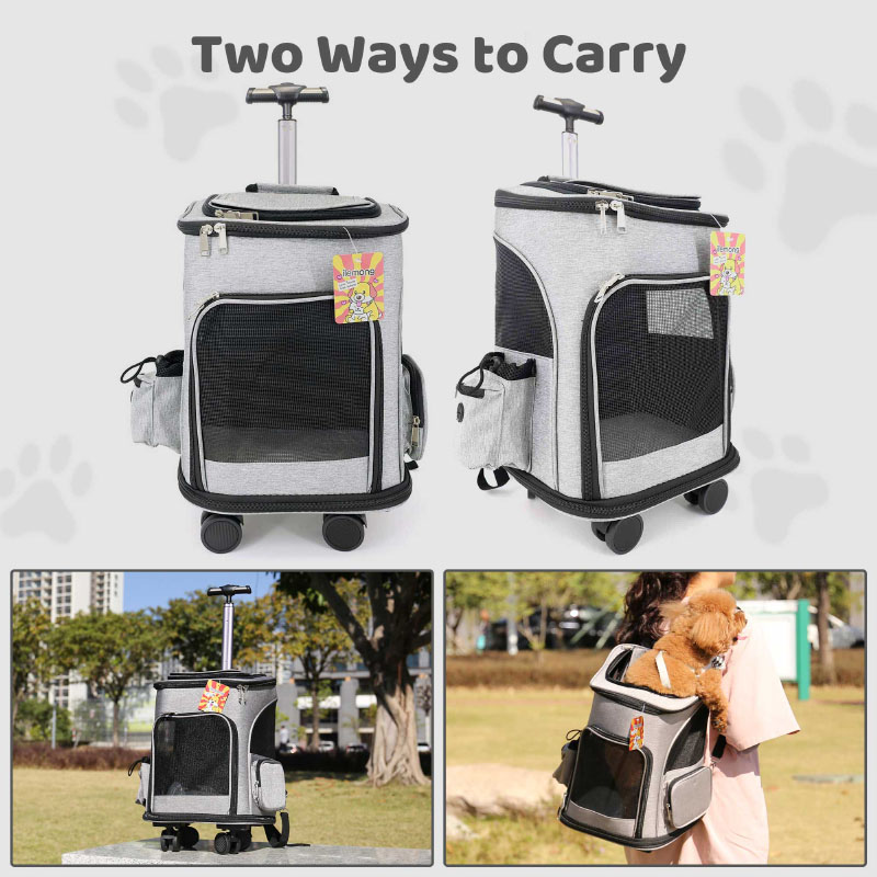 Cat Carrier Backpack Airline-Approved Foldable with Inner Safety Leash - Bag&Carriers - 4