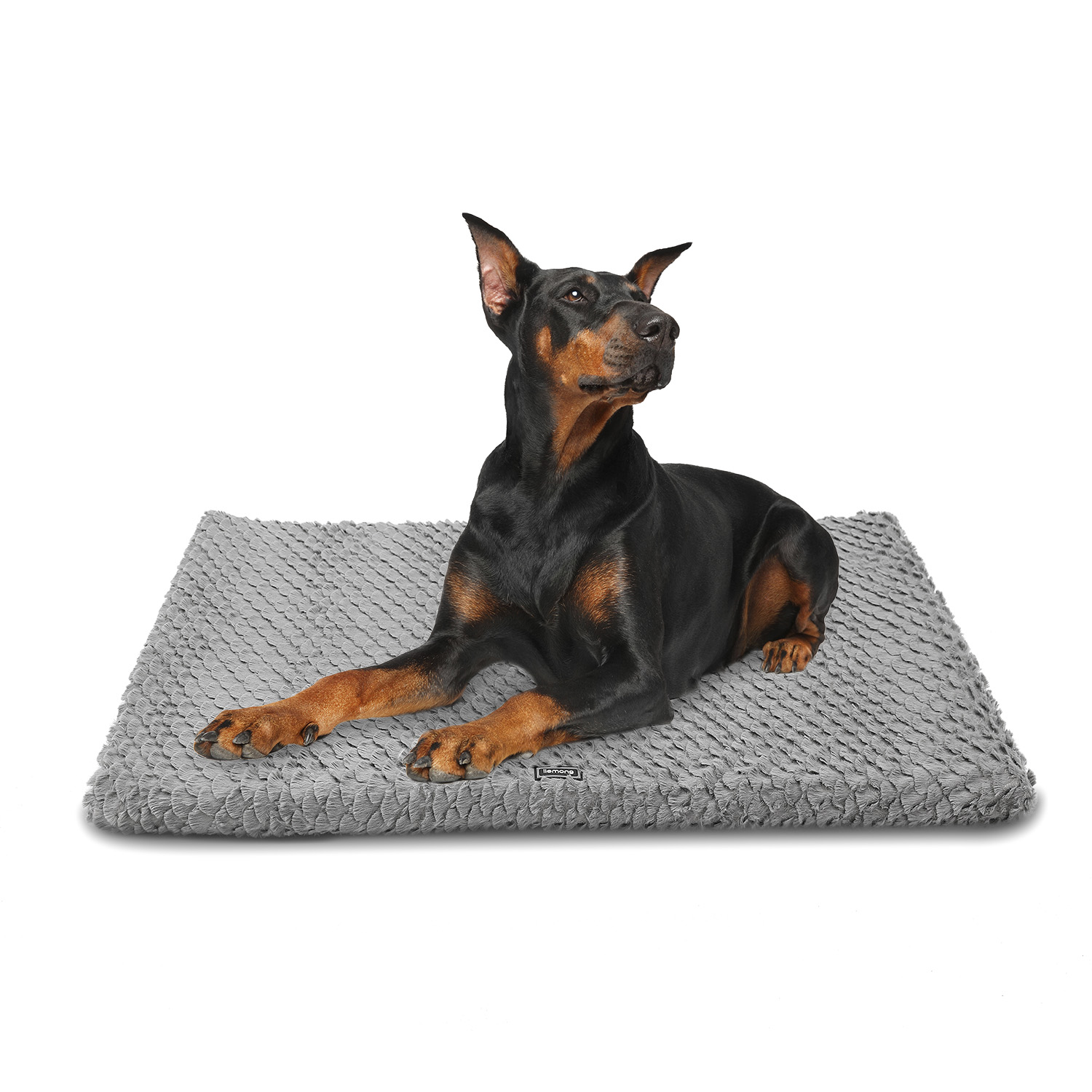 Pet Dog Bed Plush And Removable Washable Pet Mat For Cats And Dogs, Ideal For Year-round Use - Beds & Mats - 2